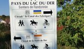 Trail Mountain bike Louvemont - LAC du DER ... le canal des Fabriques.  - Photo 5