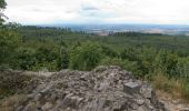 Tour Zu Fuß Dannenfels - Keltenwanderweg - Photo 9