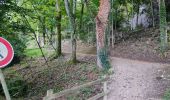 Trail Walking Ax-les-Thermes - Le chemin de la Ramille - Photo 1