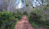 Trail Walking Aramon - aramon - les castillonnes  - Photo 18
