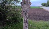 Percorso Marcia Arlon - Guirsch Arlon - Photo 3