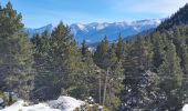 Randonnée Raquettes à neige La Llagonne - Les Bouillouses.( 66 MT LOUIS ) Pla des Aveillans-barrage des Bouillouses  - Photo 5