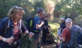 Tour Wandern Le Lavandou - Le Lavandou Cavalières le Temple d'Hercule  - Photo 7