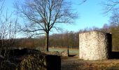 Tour Zu Fuß Bovenden - Rundwanderweg der Besinnung (UNO-Menschenrechtspfad) - Photo 10