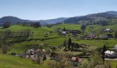 Tour Mountainbike Urbach bei Kaysersberg - Fréland - Col du Wettstein - Photo 7