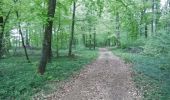 Trail Walking Virton - Lamorteau  -  Balade_VTT_28kms - Photo 13