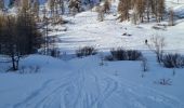 Tour Skiwanderen Molines-en-Queyras - pointe de sagnes longues  - Photo 1