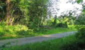 Randonnée Marche Villers-Cotterêts - en forêt de Retz_85_le Buisson de la Queue d'Ham - Photo 17