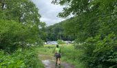 Trail Walking Vresse-sur-Semois - Alle-Frahan-Poupehan en terug - Photo 1