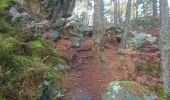 Trail Walking Fontainebleau - vert galant 25 novembre 2022  - Photo 9