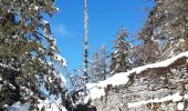 Trail Walking Saint-Agnan-en-Vercors - Les Hauts Plateaux du Vercors - Photo 3