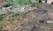 Trail Walking Jalhay -  Boucle de Charneux 17 Km  - Photo 6