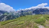 Trail Walking Pralognan-la-Vanoise - col de napremont - Photo 8