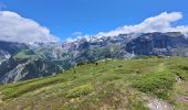 Randonnée Marche Pralognan-la-Vanoise - col de napremont - Photo 8