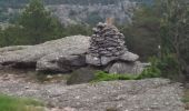 Trail Walking Saint-Martin-de-l'Arçon - Saint Martin de L'Arcon sportive via la table d'orientation - Photo 11