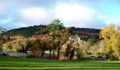 Percorso A piedi Sconosciuto - Castlewellan Forest Park - Slievenaslat Walk - Photo 3