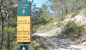 Randonnée Marche Die - Ausson - Montagne de Gavet (Diois) - Photo 6