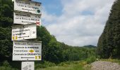 Excursión Senderismo Niederbronn-les-Bains - Windstein entre châteaux et ligne Maginot - Photo 17