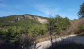 Excursión Senderismo Saint-Étienne-de-Gourgas - Forêt de Parlatges - Roc de l'Eglise - Photo 3