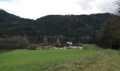 Trail On foot Liebenfels - Ulrichsberg-Gedächtniswanderung - Photo 5