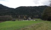 Percorso A piedi Liebenfels - Ulrichsberg-Gedächtniswanderung - Photo 5