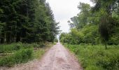 Tour Zu Fuß Blomberg - Nelkenweg Zubringer 1 - Photo 2