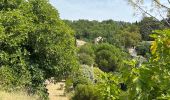 Trail Horseback riding Céreste - Provence 2025 J3 - Photo 14