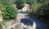 Trail Horseback riding Orthoux-Sérignac-Quilhan - mas bas - clairan  - Photo 4