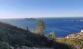 Tour Wandern Marseille - Rando calanque Morgiou  - Photo 11