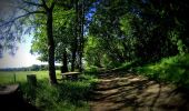 Randonnée V.T.T. Cerfontaine - VTT entre les lac de Silenrieux - Photo 2