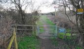 Tocht Te voet Wyre Forest - Stourport Circular Walk - Photo 10