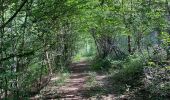 Randonnée Marche Villers-la-Ville - Villers-la-Ville - promenade derrière le Chalet de la Forêt  - Photo 2