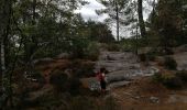 Tocht Stappen Fontainebleau - brigands Charlie  - Photo 1