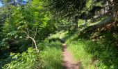 Trail Walking Saint-Pierre-de-Chartreuse - Les Cottaves le Charmant Som 11km - Photo 11