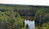 Trail Walking Lommel - Le Sahara de Lommel  - Photo 3