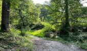 Trail Walking Vivières - en Forêt de Retz_88_autour du Regard Saint-Hubert et du Rond de la Reine - Photo 19