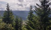 Tocht Stappen Allarmont - Balades féeriques des roches  - Photo 9