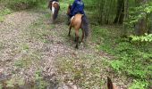 Trail Horseback riding Hériménil - Élodie 2 tivio - Photo 3