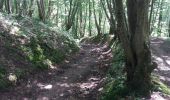Tour Wandern Esneux - autour de fontin par les prés les champs les bois et les hameaux - Photo 4