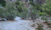 Excursión Senderismo Unknown - 20230903 gorges samaria crete - Photo 3