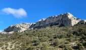 Trail Walking Pourcieux - Crêtes du Mont Aurélien - Photo 4