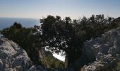 Trail Walking Marseille - Rando tour de la Candelle-Sugiton-Sofmiou - Photo 8