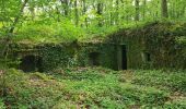 Randonnée Marche Héricourt - Héricourt - fort Mont Vaudois - poudriére puis batterie d'Urcerey - Echenans - Photo 20