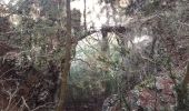 Randonnée Marche Châtelus - la grotte des Gaulois, le pas de l' Echarasson, porte du diable, pas de charmate - Photo 4