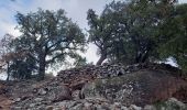 Tour Wandern Bagnols-en-Forêt - Gorges du Blavet au col de la pierre du coucou - Photo 20