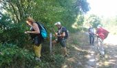 Tocht Stappen Gouloux - 190918-Morvan-1 - Photo 2