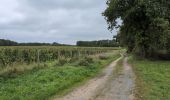 Tour Wandern Coteaux-sur-Loire - Saint-Patrice les Prés Bédoué - GRP Étang Chêne Meunier Ingrandes-de-Touraine - 20.4km 315m 4h35 (1h10) - 2024 10 03 - Photo 4