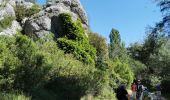 Tocht Stappen Beaurecueil - Sainte Victoire : Barrages de Bimont et Zola - Photo 19