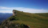 Randonnée Marche Montauban-sur-l'Ouvèze - Montagne de Chamouse - Photo 5