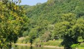 Percorso A piedi Neupré - petite boucle par L'Ourthe à Strivay - Photo 3